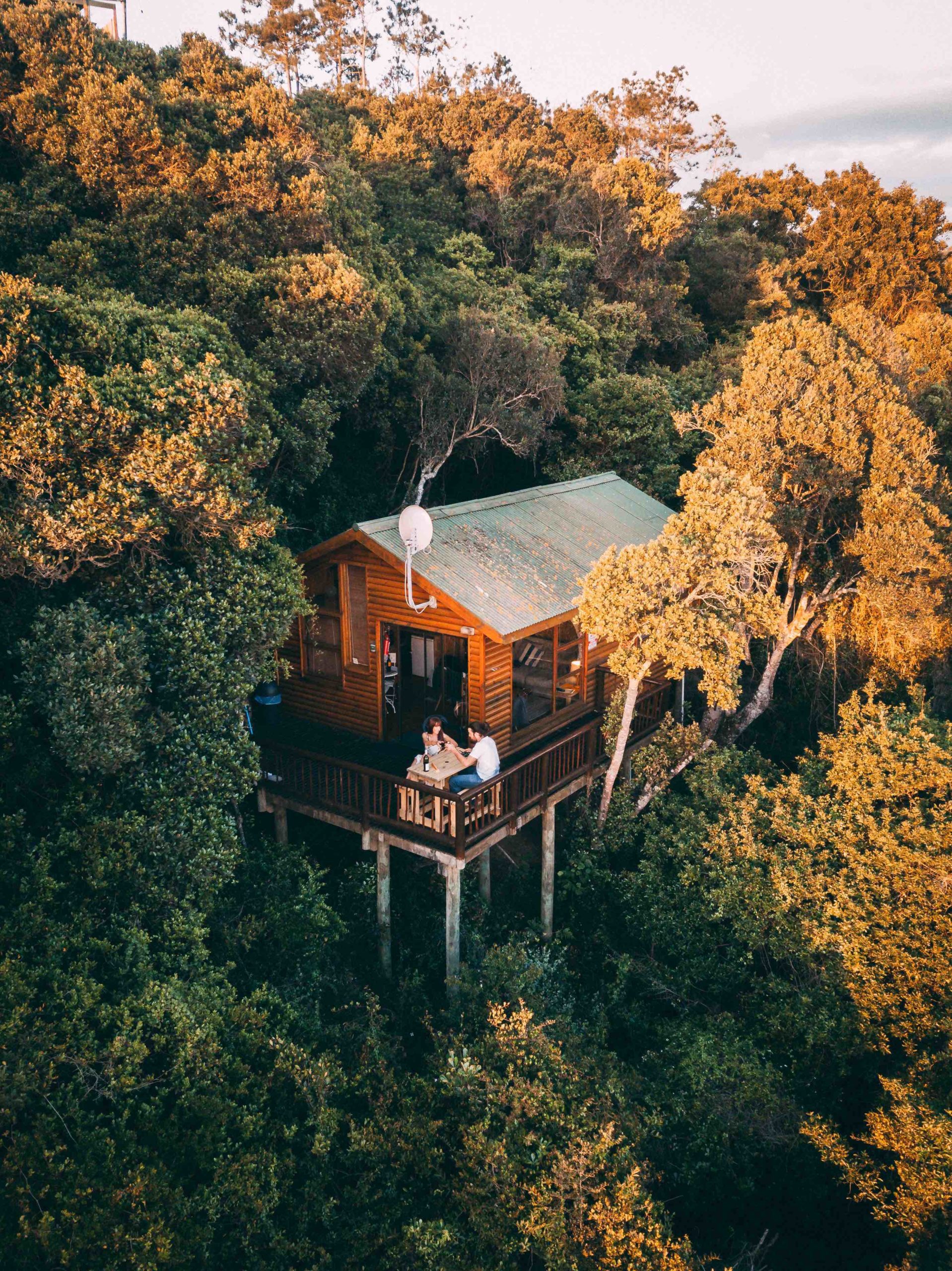 Tree House Africa